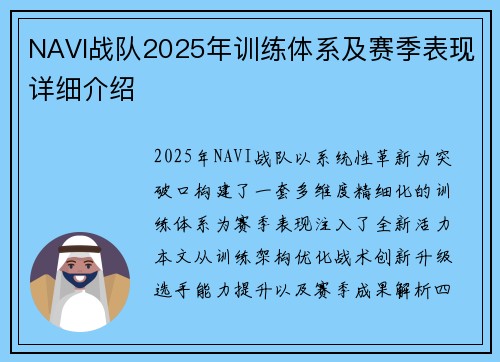 NAVI战队2025年训练体系及赛季表现详细介绍